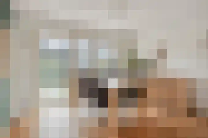 Soeterbeekseweg 3 B Nuenen thumbnail 14