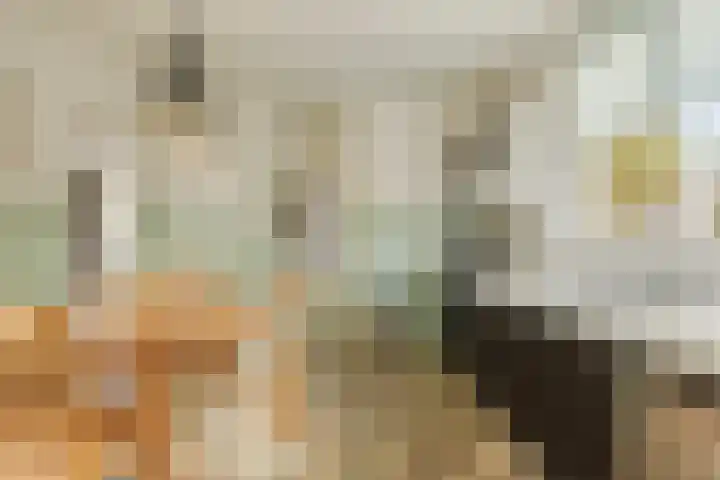 Soeterbeekseweg 3 B Nuenen thumbnail 17