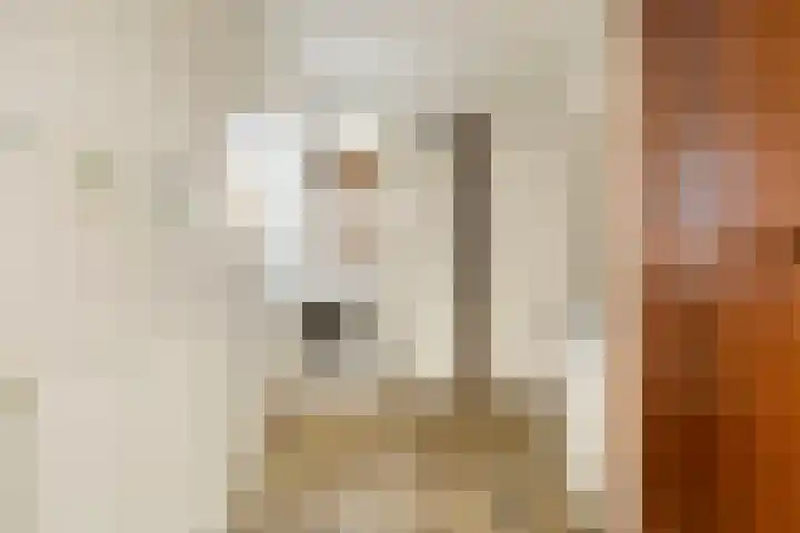 Soeterbeekseweg 3 B Nuenen thumbnail 21