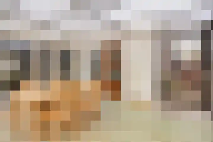 Soeterbeekseweg 3 B Nuenen thumbnail 23