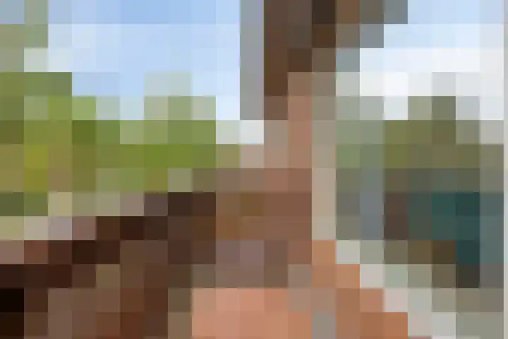 Soeterbeekseweg 3 B Nuenen thumbnail 28