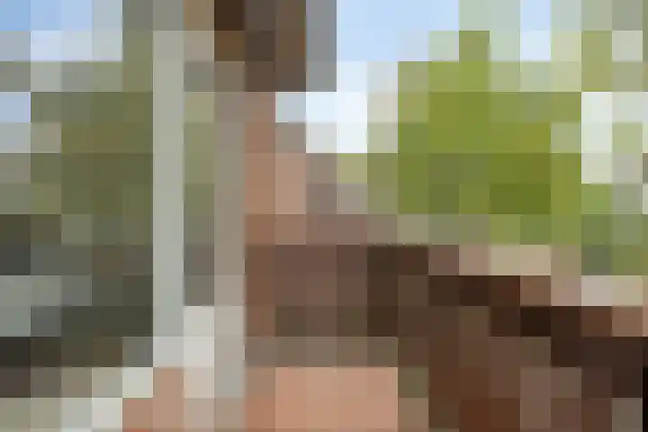 Soeterbeekseweg 3 B Nuenen thumbnail 29