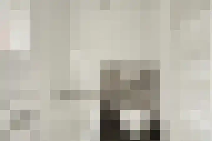 Soeterbeekseweg 3 B Nuenen thumbnail 32