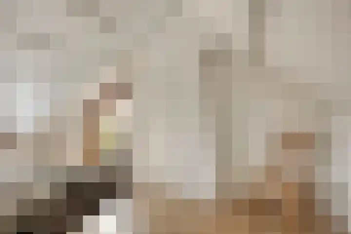 Soeterbeekseweg 3 B Nuenen thumbnail 38