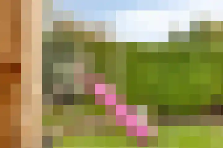 Soeterbeekseweg 3 B Nuenen thumbnail 44