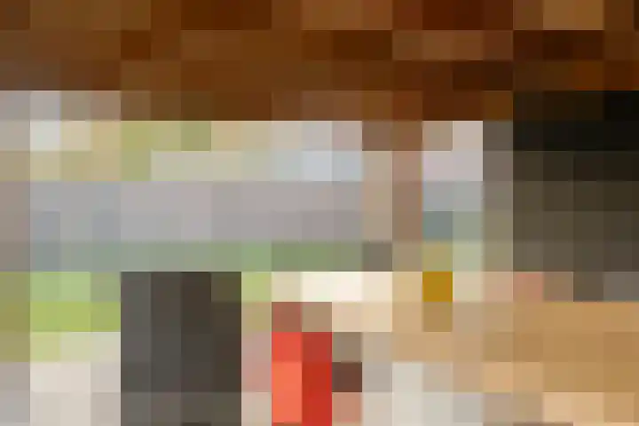 Soeterbeekseweg 3 B Nuenen thumbnail 46
