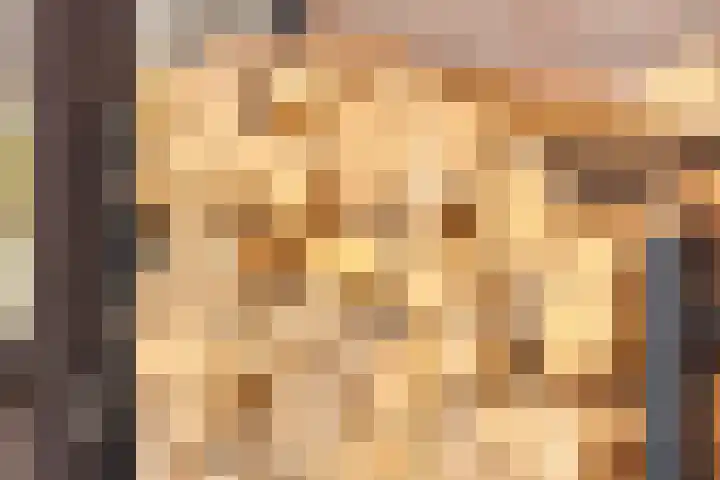 Soeterbeekseweg 3 B Nuenen thumbnail 48