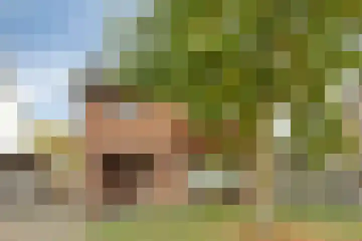 Soeterbeekseweg 3 B Nuenen thumbnail 5