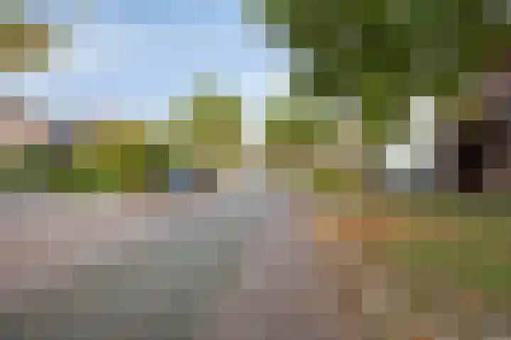 Soeterbeekseweg 3 B Nuenen thumbnail 51