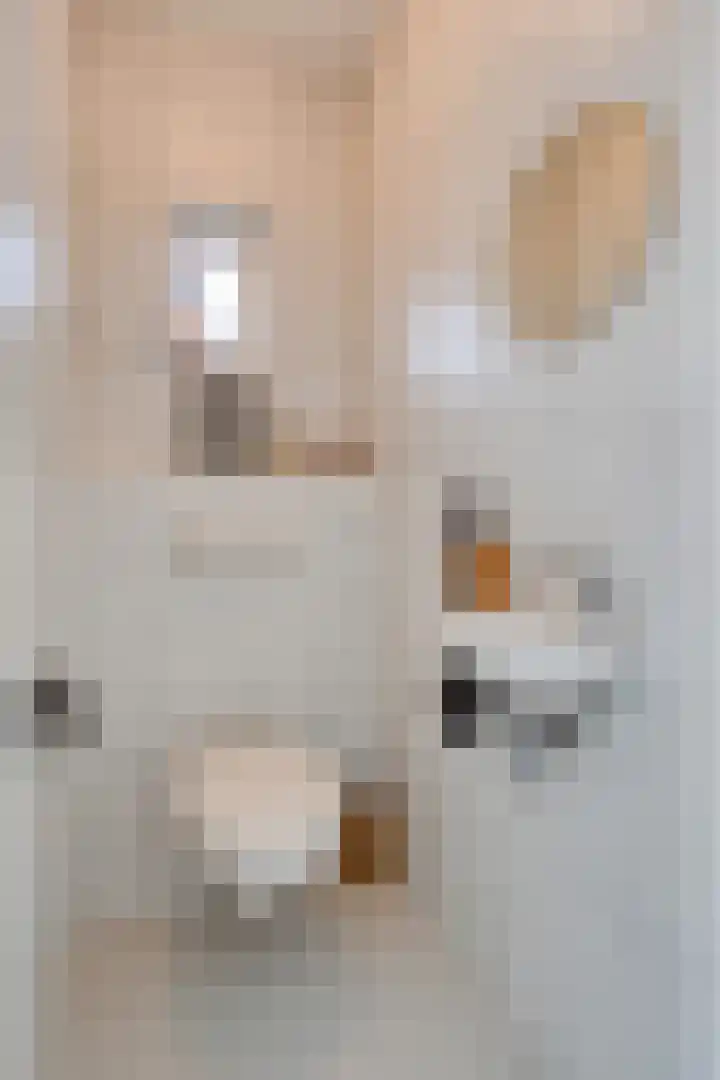Soeterstraat 25 Reek thumbnail 11