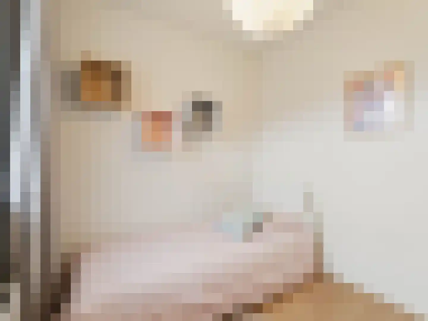 Soeterstraat 25 Reek thumbnail 27