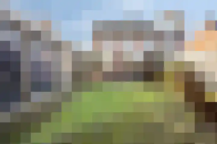 Soeterstraat 25 Reek thumbnail 37