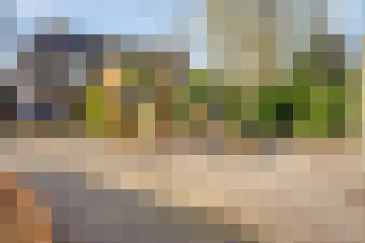Soeterstraat 25 Reek thumbnail 45
