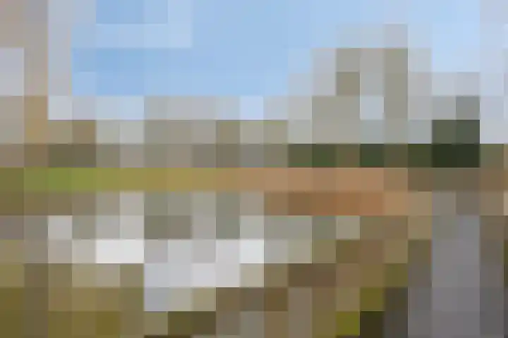 Soeterstraat 25 Reek thumbnail 49