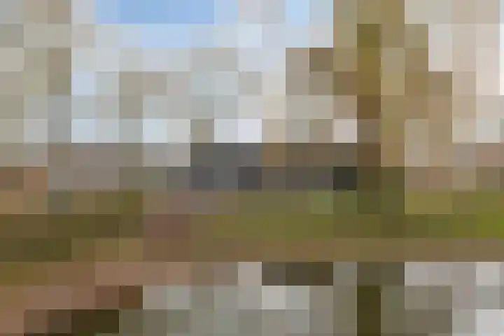 Soeterstraat 25 Reek thumbnail 50