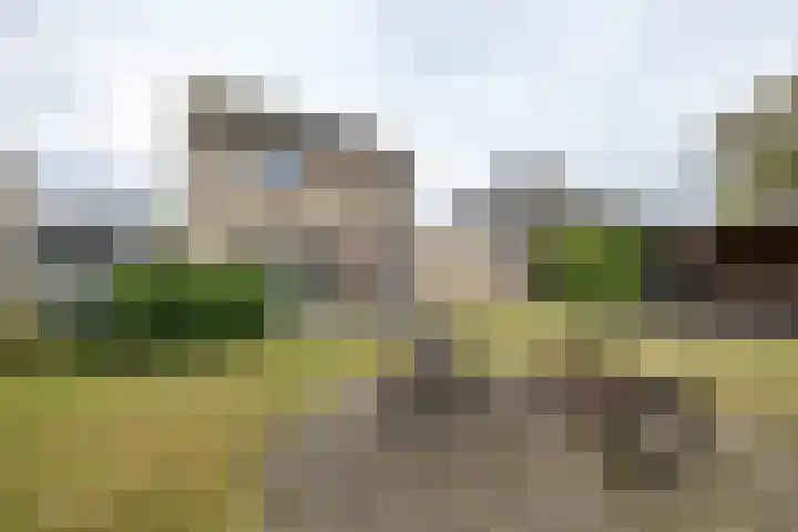 Soeterstraat 25 Reek thumbnail 55
