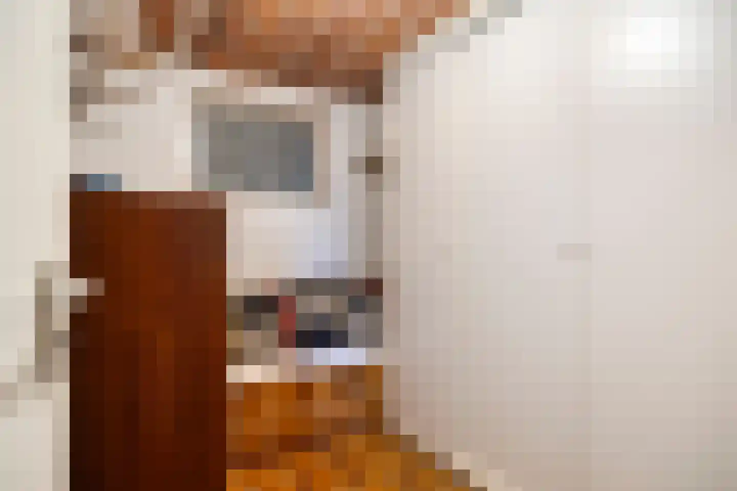 Soeterstraat 28 Reek thumbnail 30