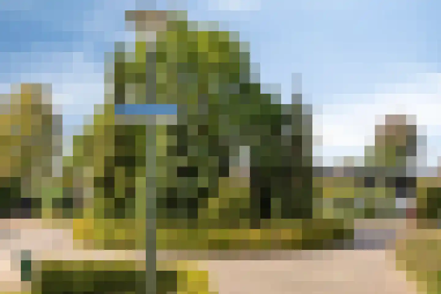 Soeterstraat 28 Reek thumbnail 41