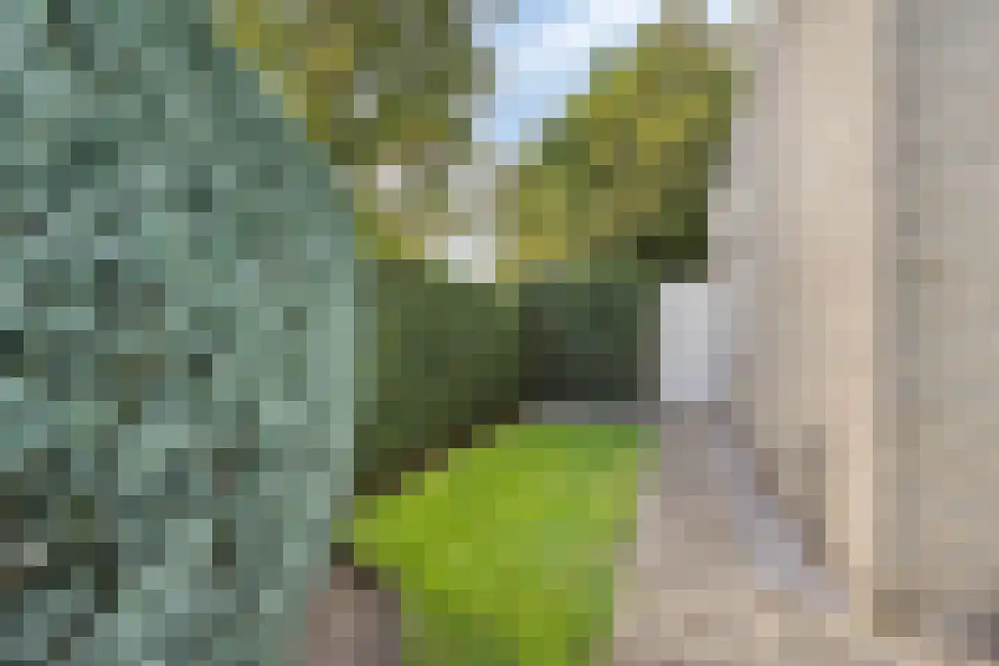 Soeterstraat 28 Reek thumbnail 45