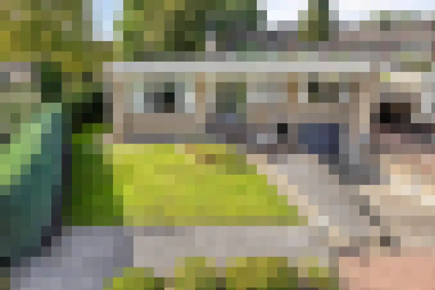 Soeterstraat 28 Reek thumbnail 46