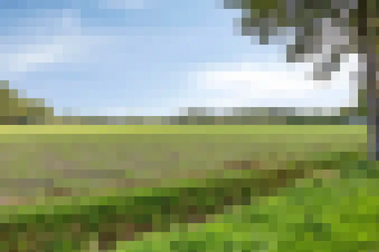 Soeterstraat 28 Reek thumbnail 47