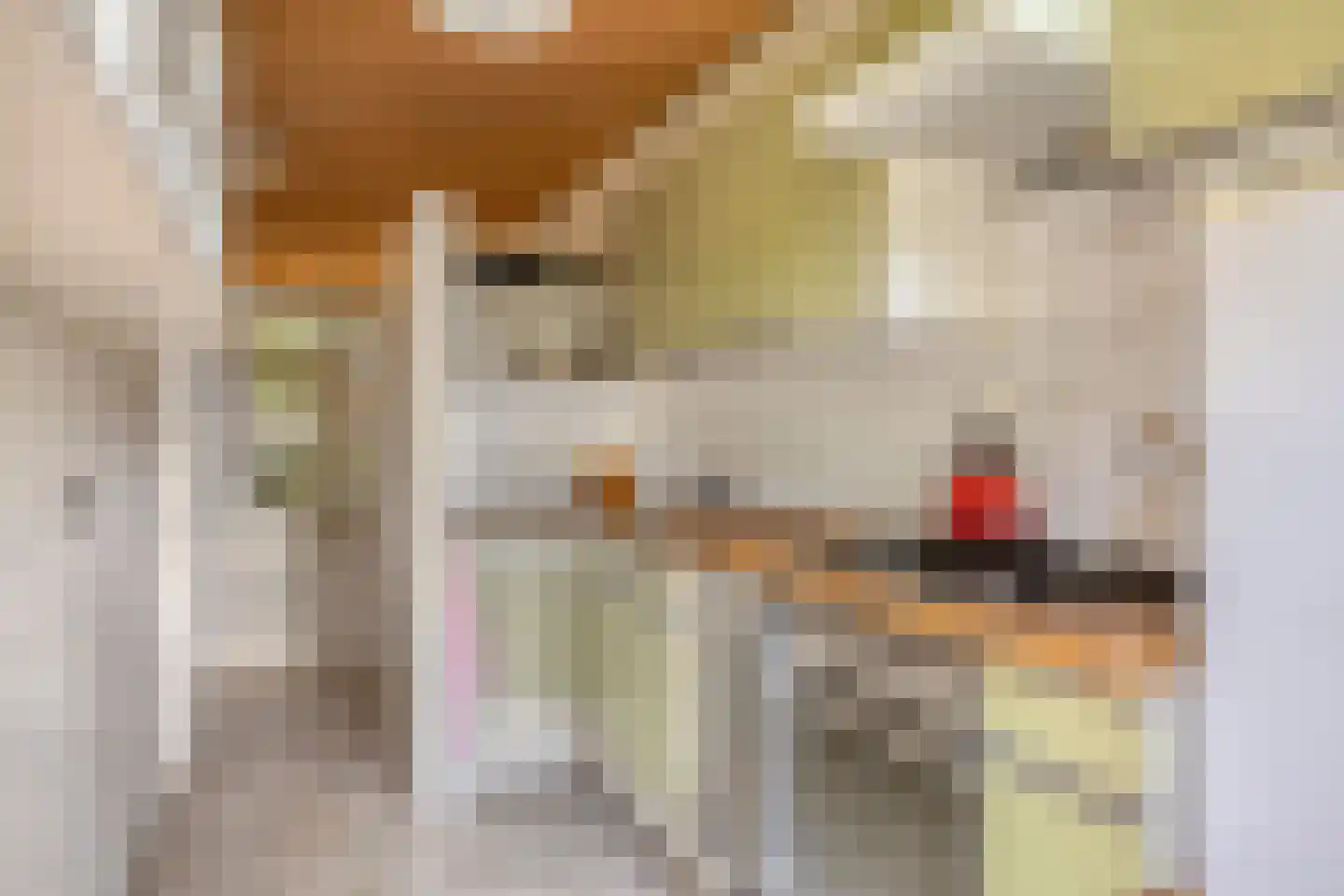 Soeterstraat 30 Reek thumbnail 12