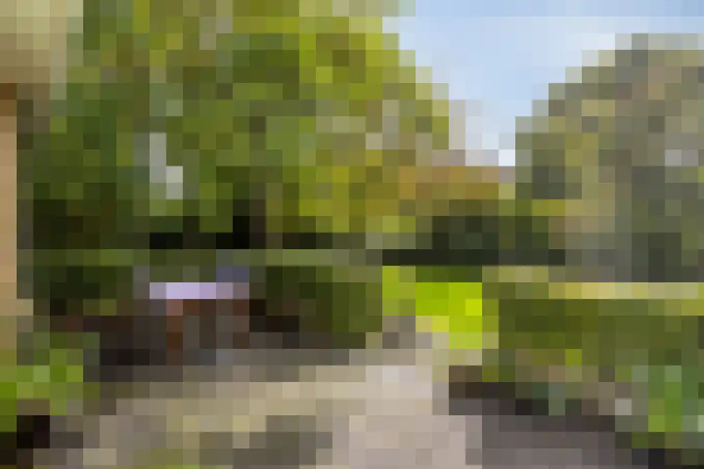 Soeterstraat 30 Reek thumbnail 26