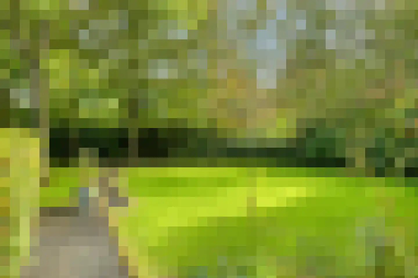 Soeterstraat 30 Reek thumbnail 27