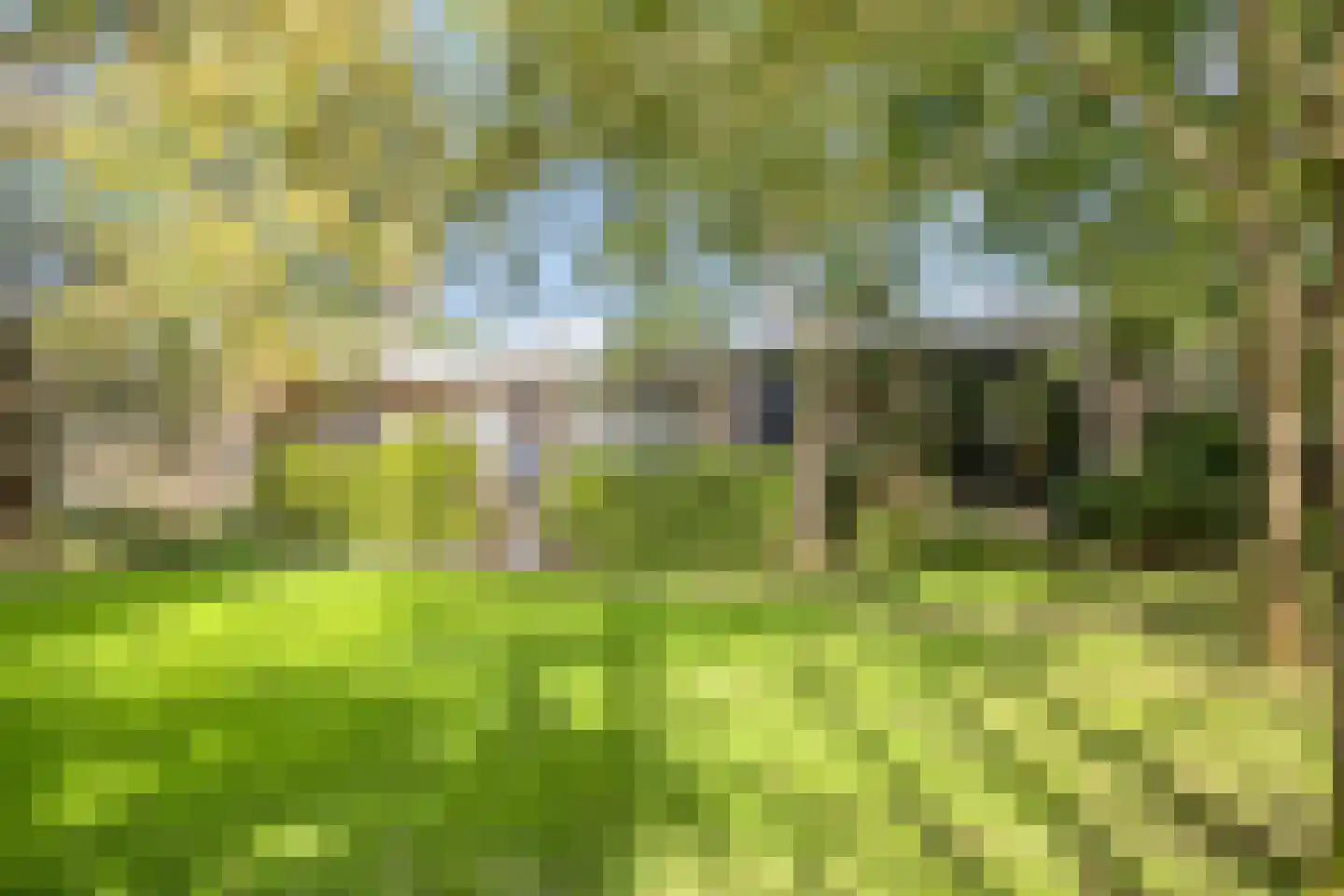 Soeterstraat 30 Reek thumbnail 28