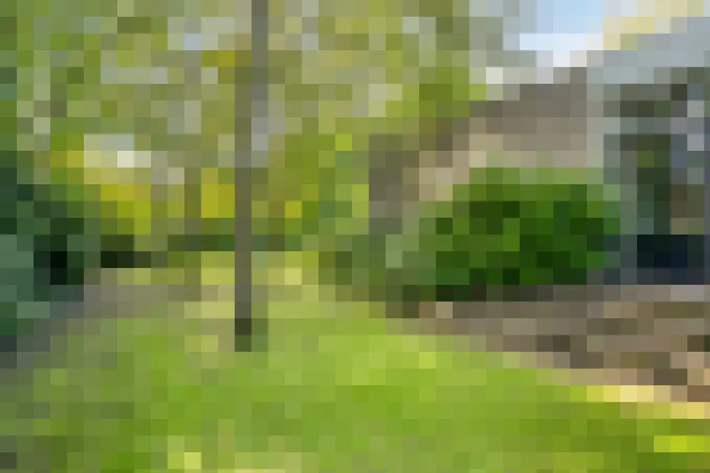 Soeterstraat 30 Reek thumbnail 31