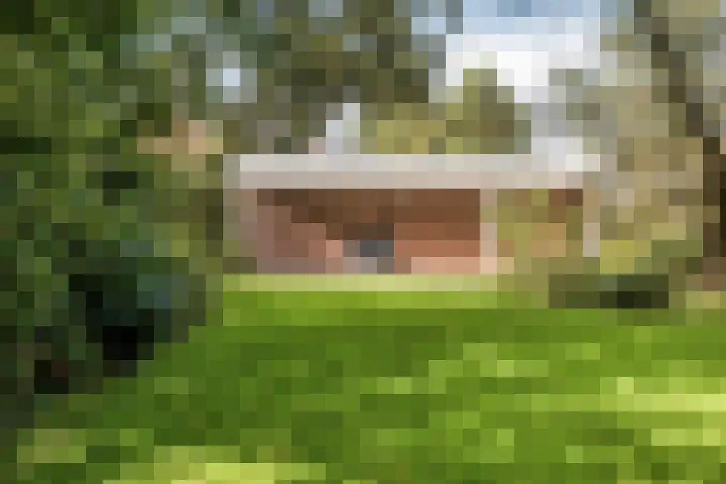 Soeterstraat 30 Reek thumbnail 33