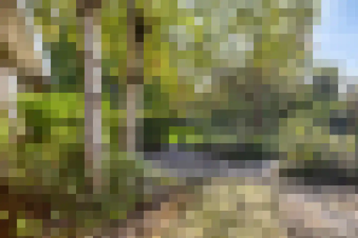 Soeterstraat 30 Reek thumbnail 38
