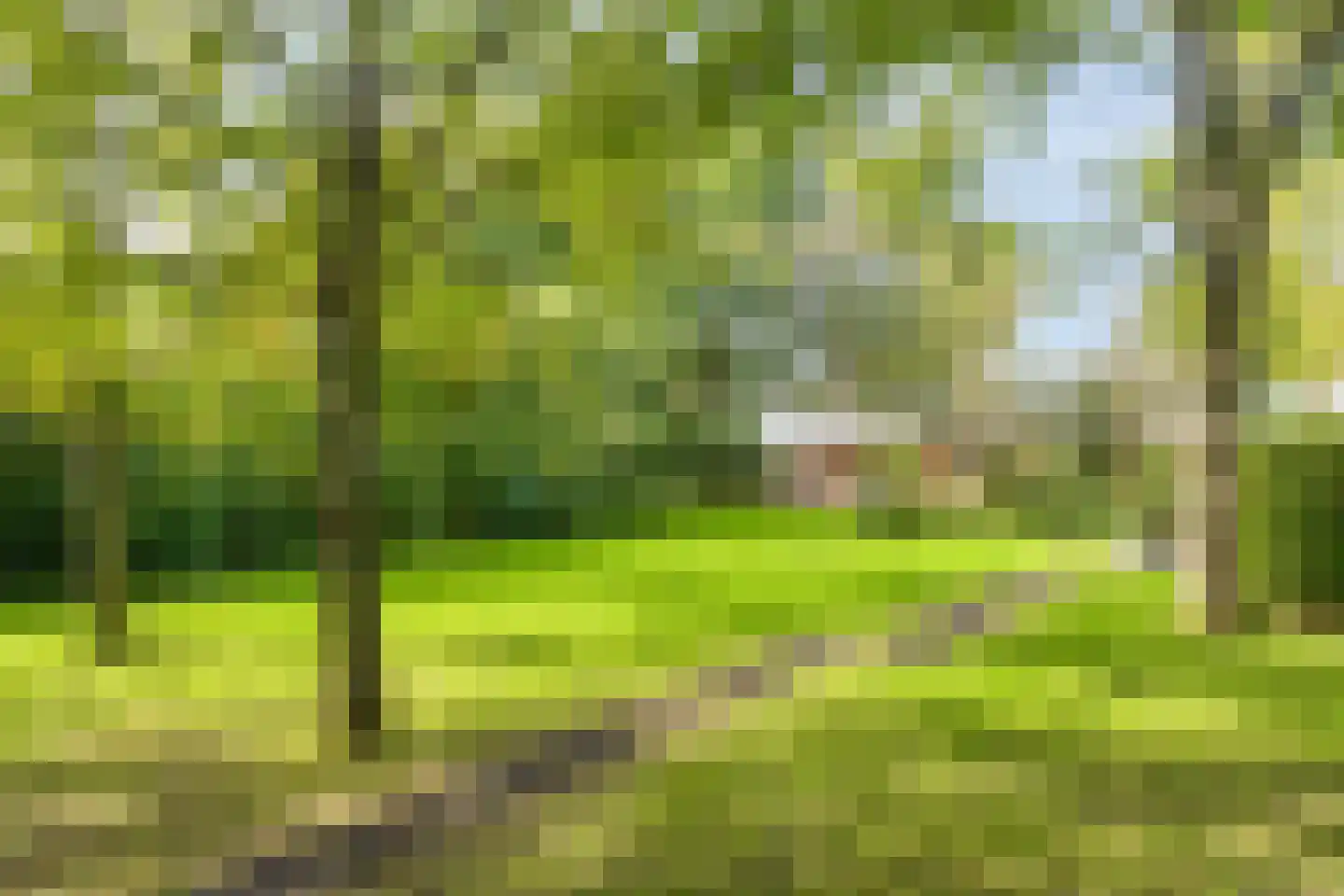 Soeterstraat 30 Reek thumbnail 4