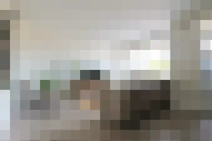 Soeverein 15 Leiderdorp thumbnail 12