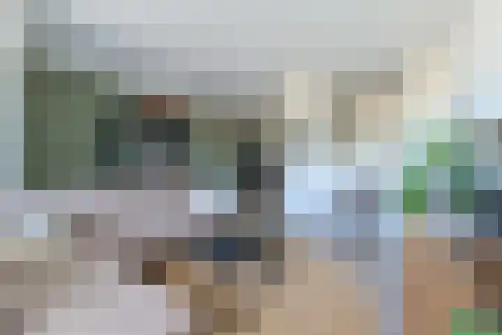 Soeverein 15 Leiderdorp thumbnail 14