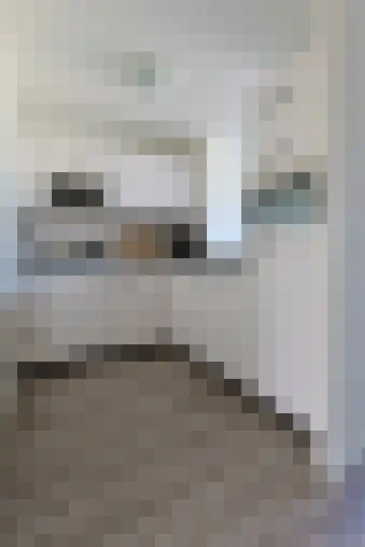 Soeverein 15 Leiderdorp thumbnail 16