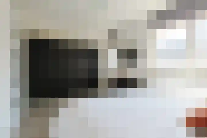 Soeverein 15 Leiderdorp thumbnail 21