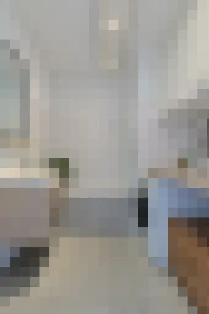 Soeverein 15 Leiderdorp thumbnail 24