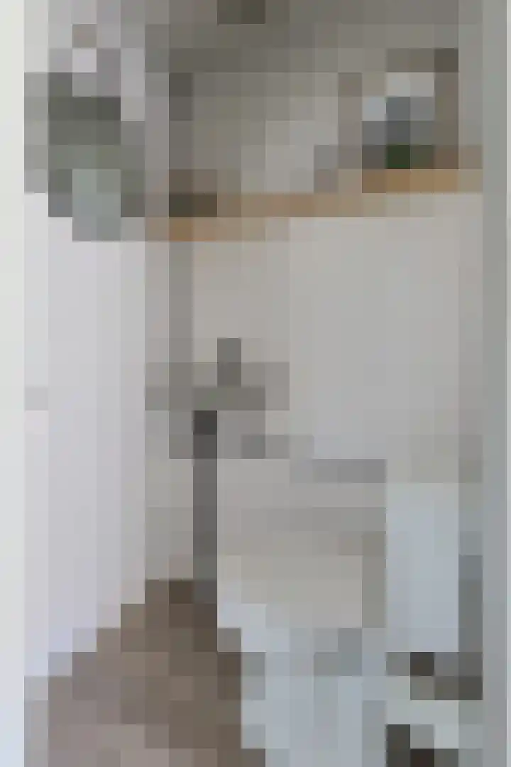 Soeverein 15 Leiderdorp thumbnail 25