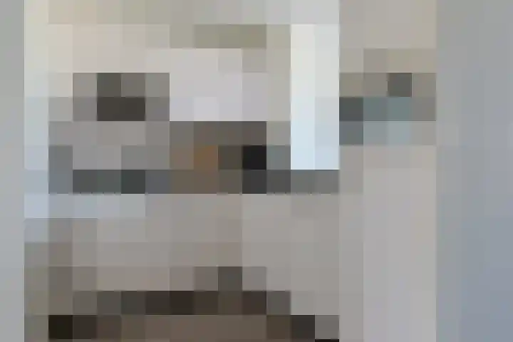 Soeverein 15 Leiderdorp thumbnail 4