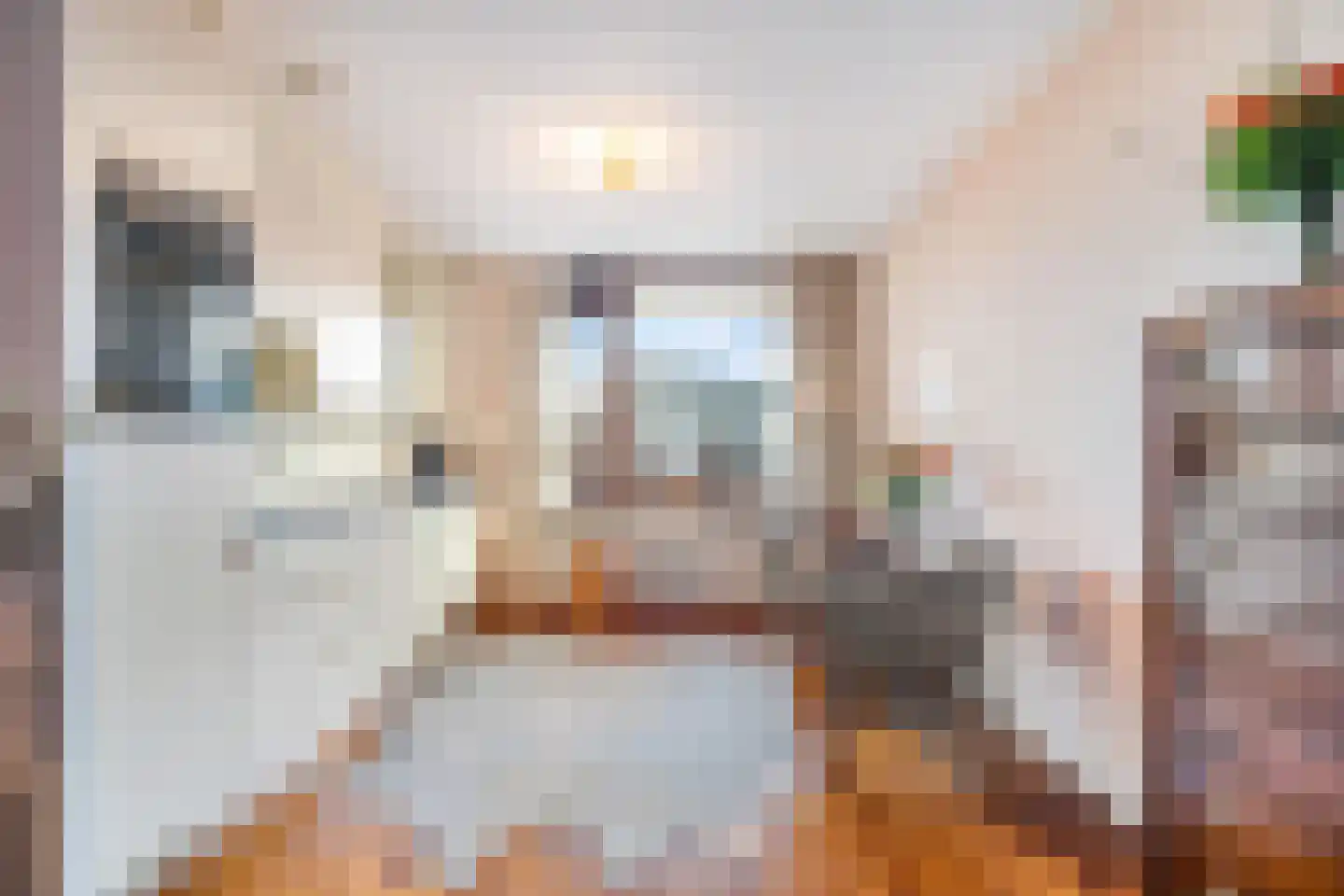Soeverein 24 Amersfoort thumbnail 13