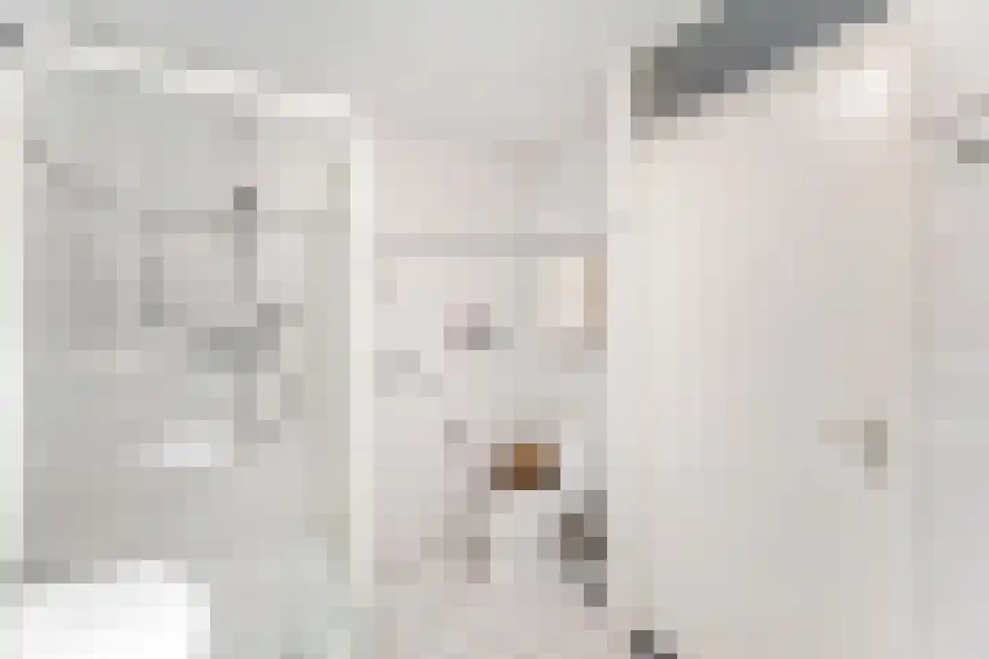 Soeverein 24 Amersfoort thumbnail 22
