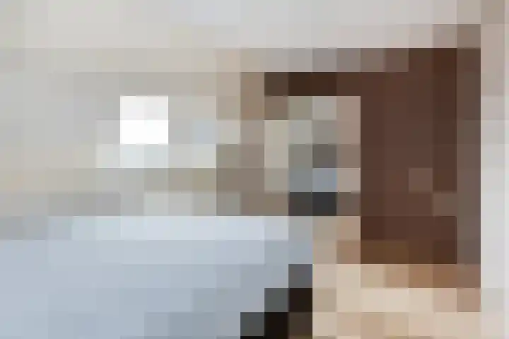 Soeverein 51 Leiderdorp thumbnail 12
