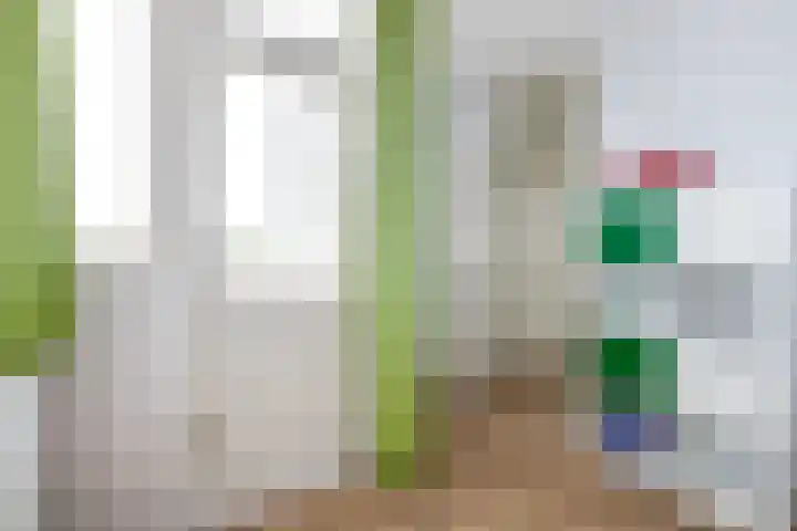 Soeverein 51 Leiderdorp thumbnail 14