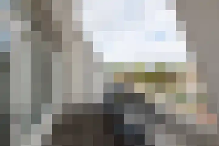 Soeverein 51 Leiderdorp thumbnail 19