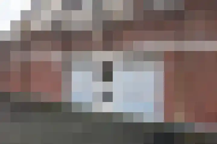 Soeverein 51 Leiderdorp thumbnail 25