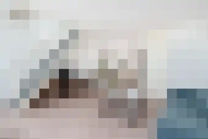 Soeverein 51 Leiderdorp thumbnail 5