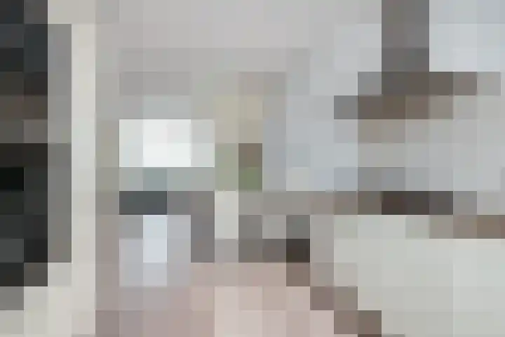 Soeverein 51 Leiderdorp thumbnail 8