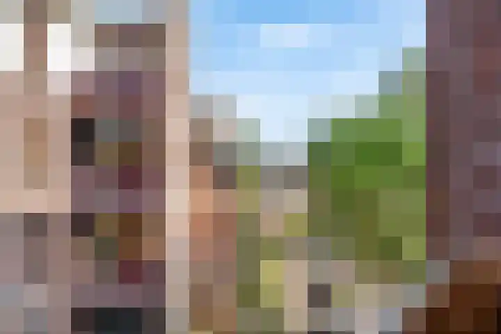 Soeverein 52 Amersfoort thumbnail 19