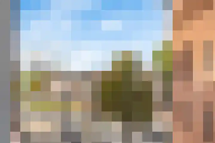 Soeverein 52 Amersfoort thumbnail 20